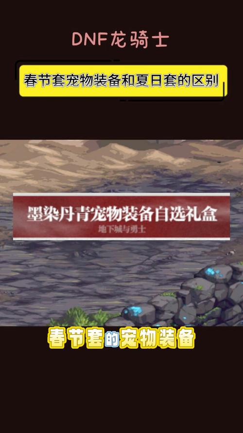 dnf春节宠物能买吗？dnf春节礼包的宠物能买吗？