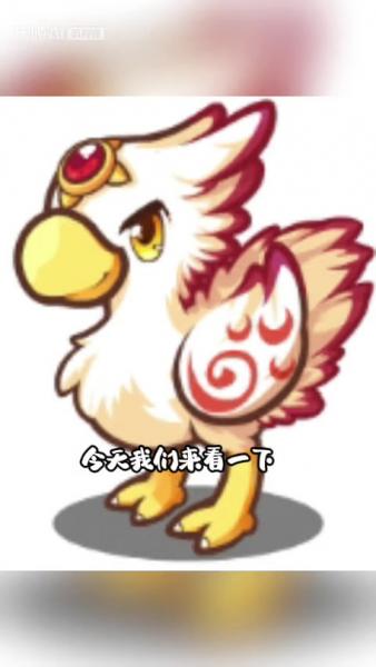 洛克王国烈钻鸟技能，洛克王国烈钻鸟活动攻略