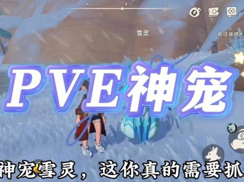 天下手游灵宠对战怎么玩？天下手游灵宠有什么用？